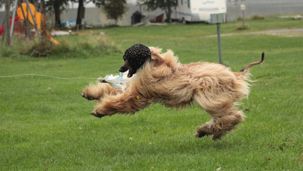 Kuva: Johanna Männistö